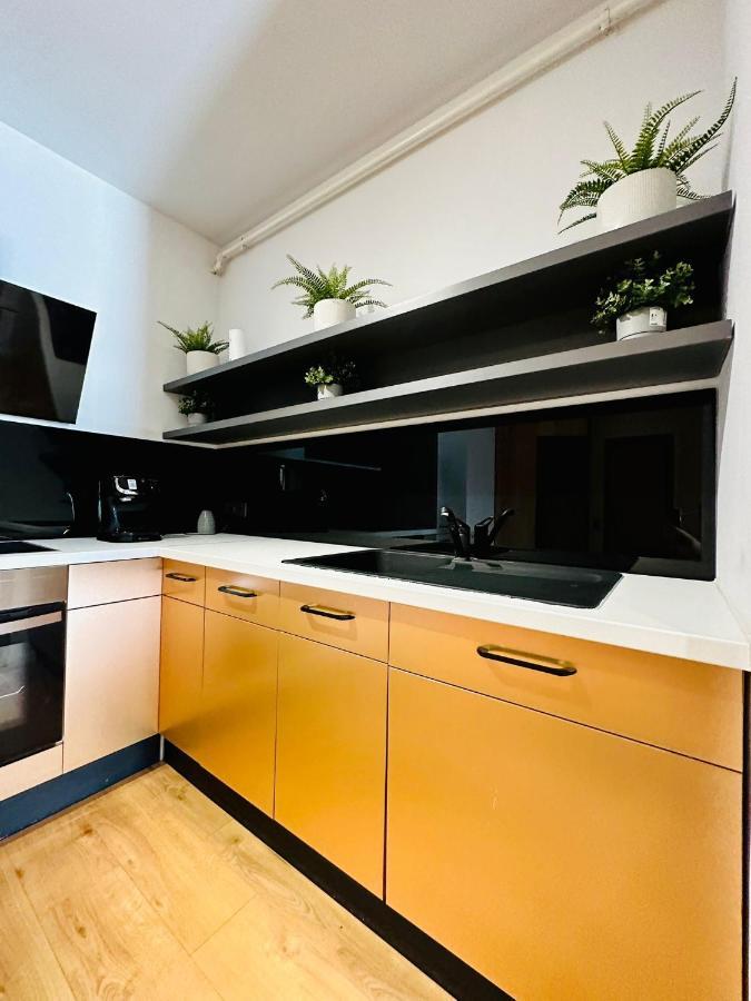 Kharisma Apartment-Free Parking-Ultracentral Cluj-Napoca Extérieur photo